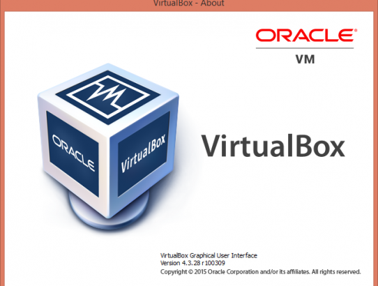 Getting Copy & Paste Functionality to Work on Oracle VM VirtualBox